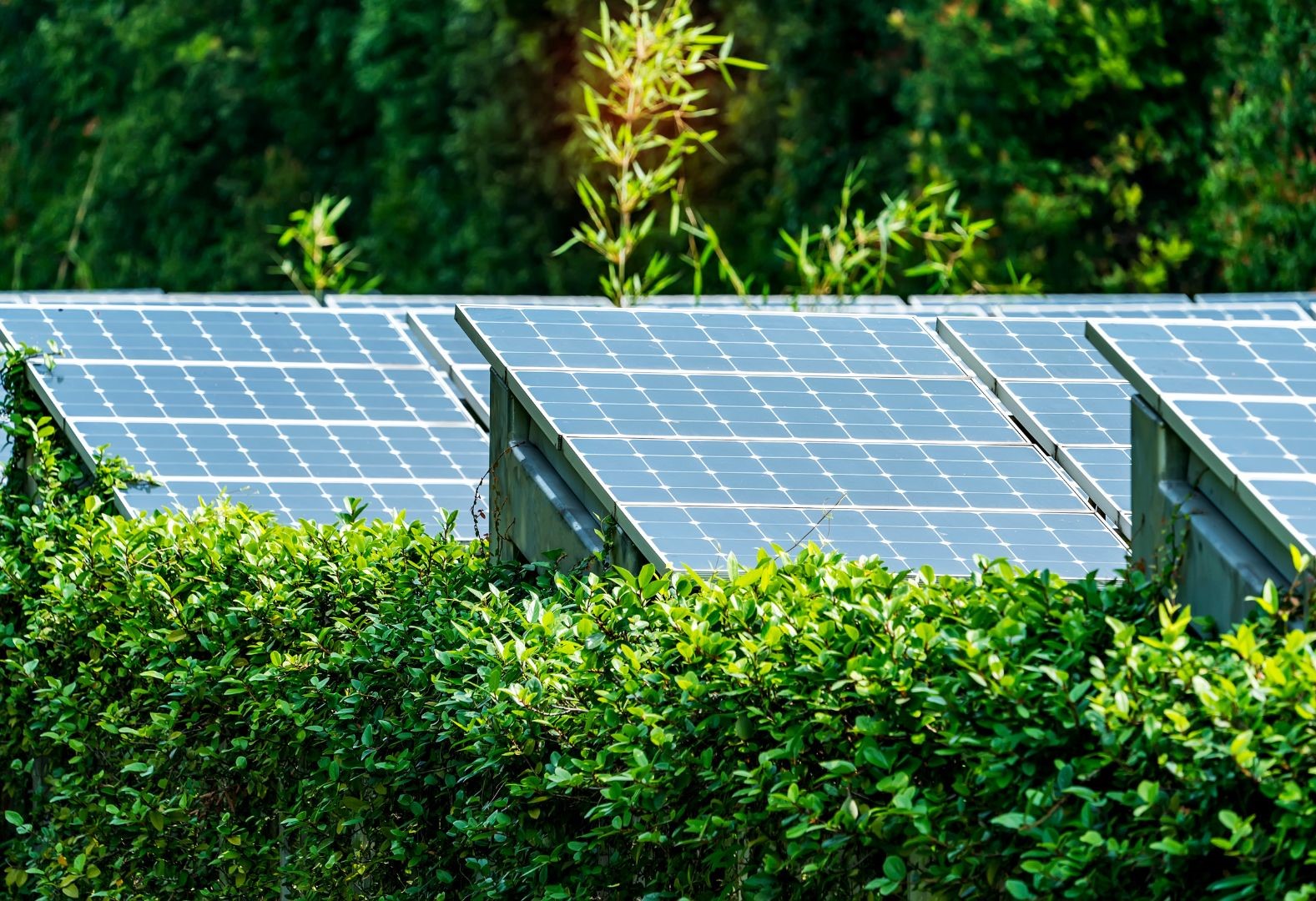 Che cos'è l'agrivoltaico?