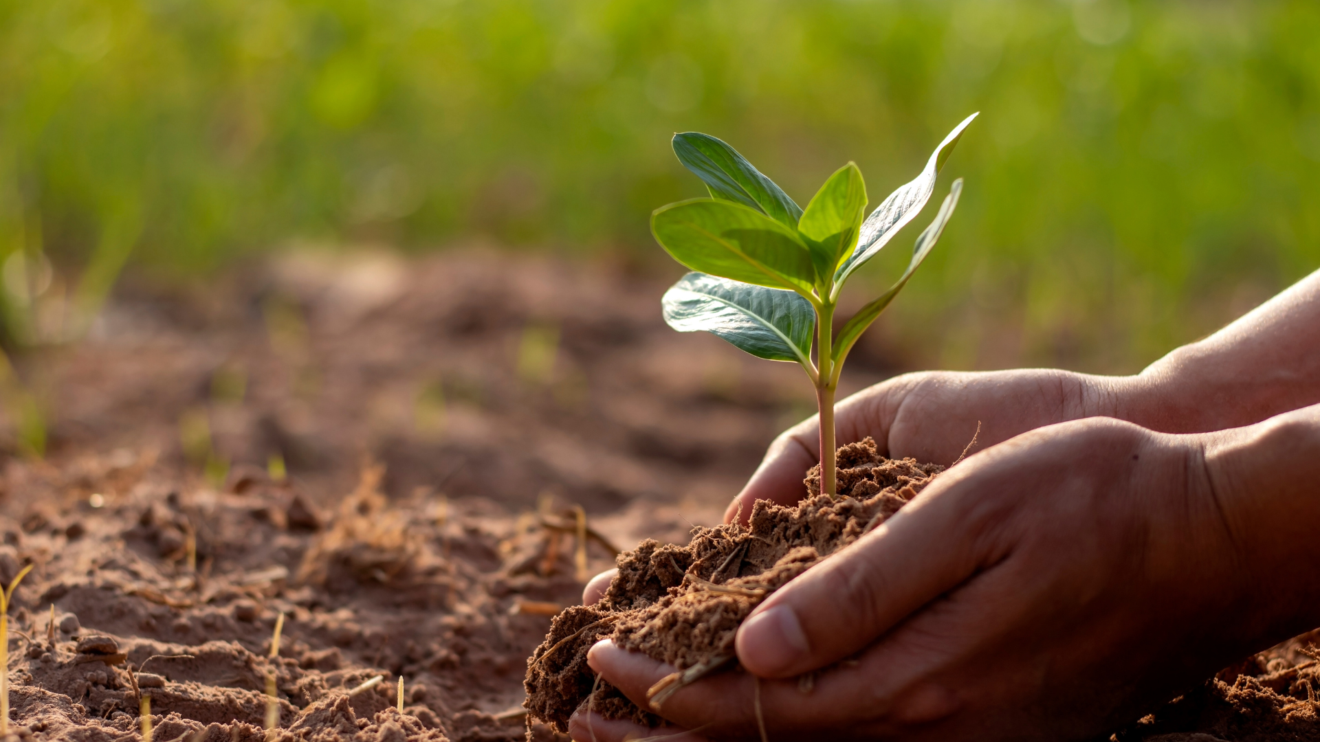 Land Degradation Neutrality through Carbon Farming Practices Land Degradation Neutrality through Carbon Farming Practices