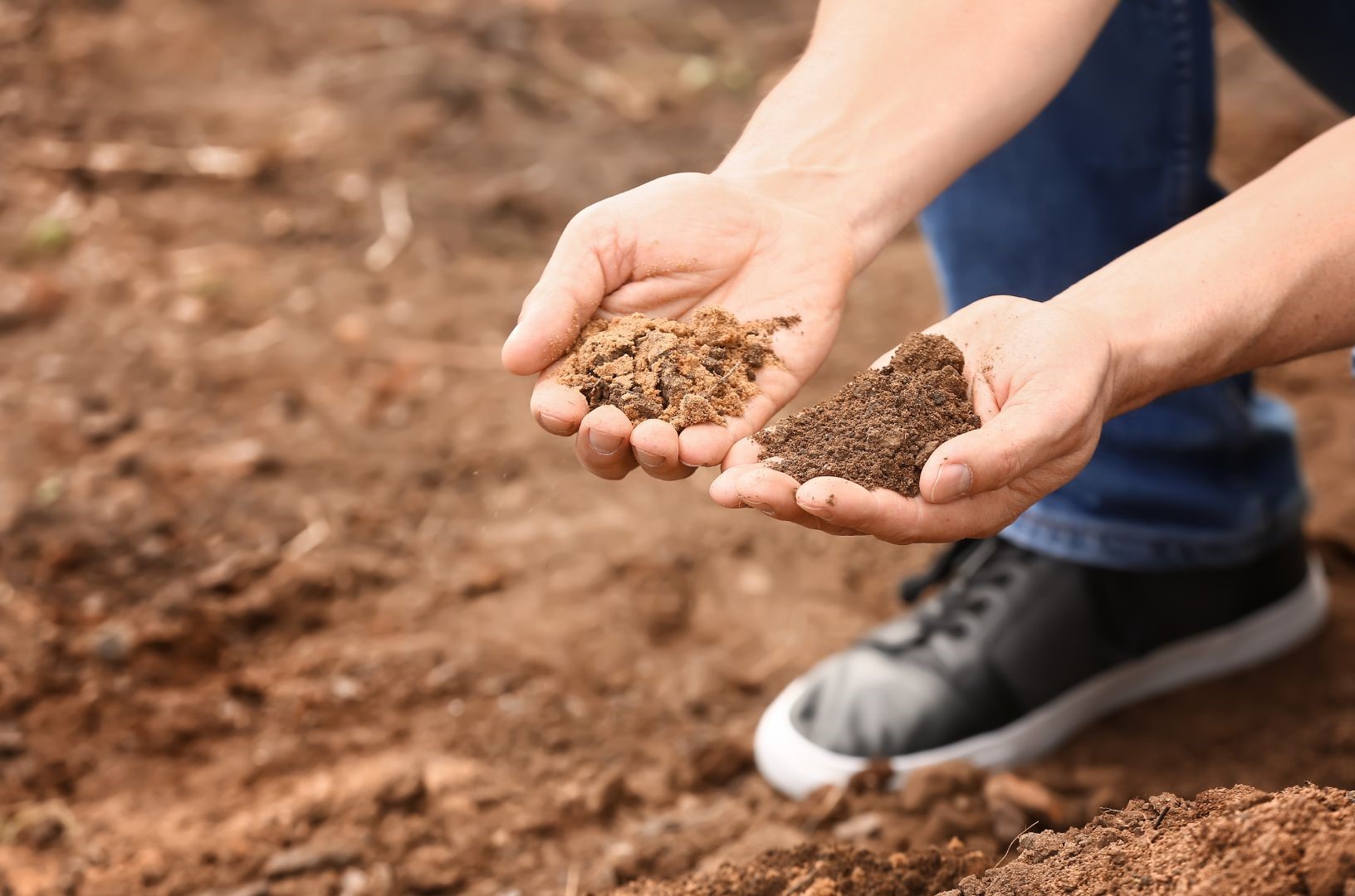 Que signifie la conservation/régénération des sols?