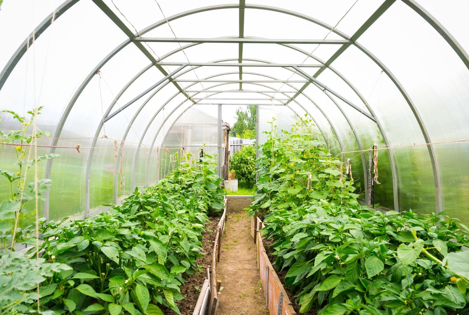 Qu’est-ce que l’horticulture?