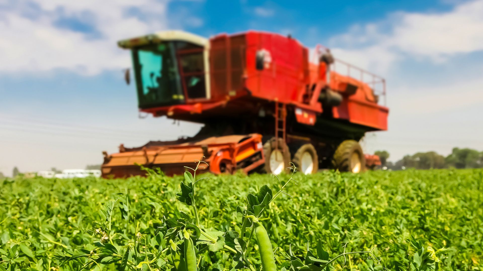 What is Commercial Agriculture?