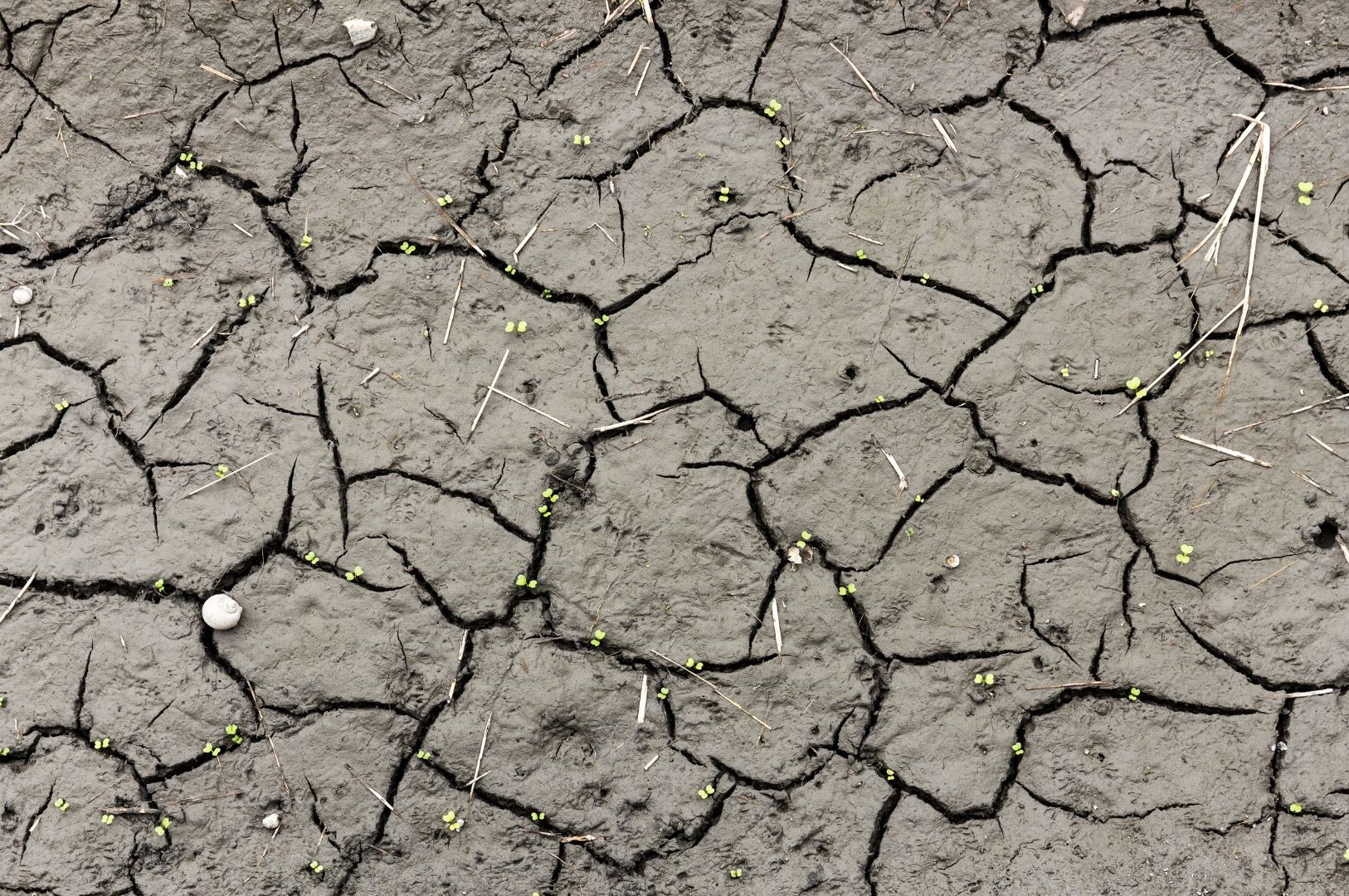 Sustainable Agriculture - Soil conservation - Module 2 - 20 What is Soil Compaction and How to Reverse it?