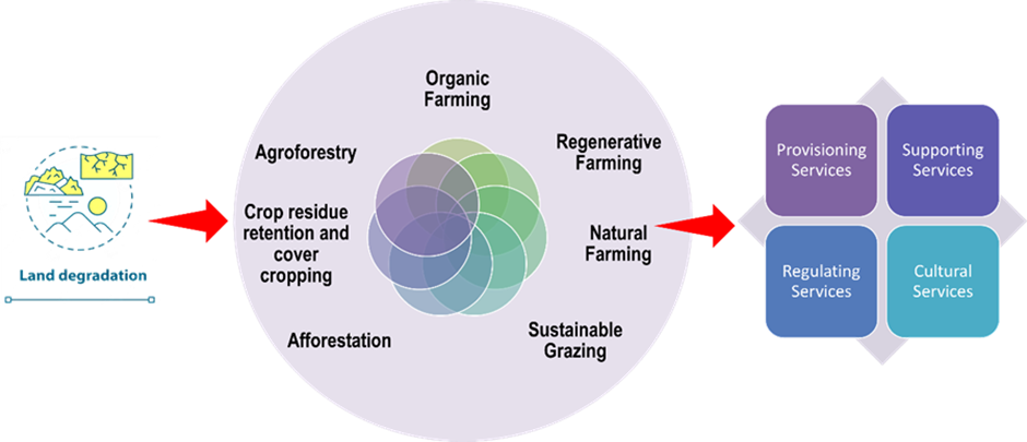 land-degradation