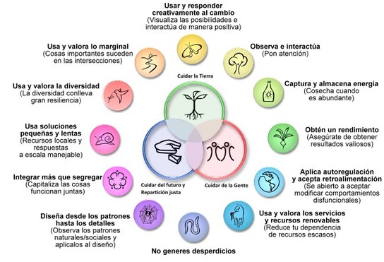 Crear un huerto de permacultura paso a paso