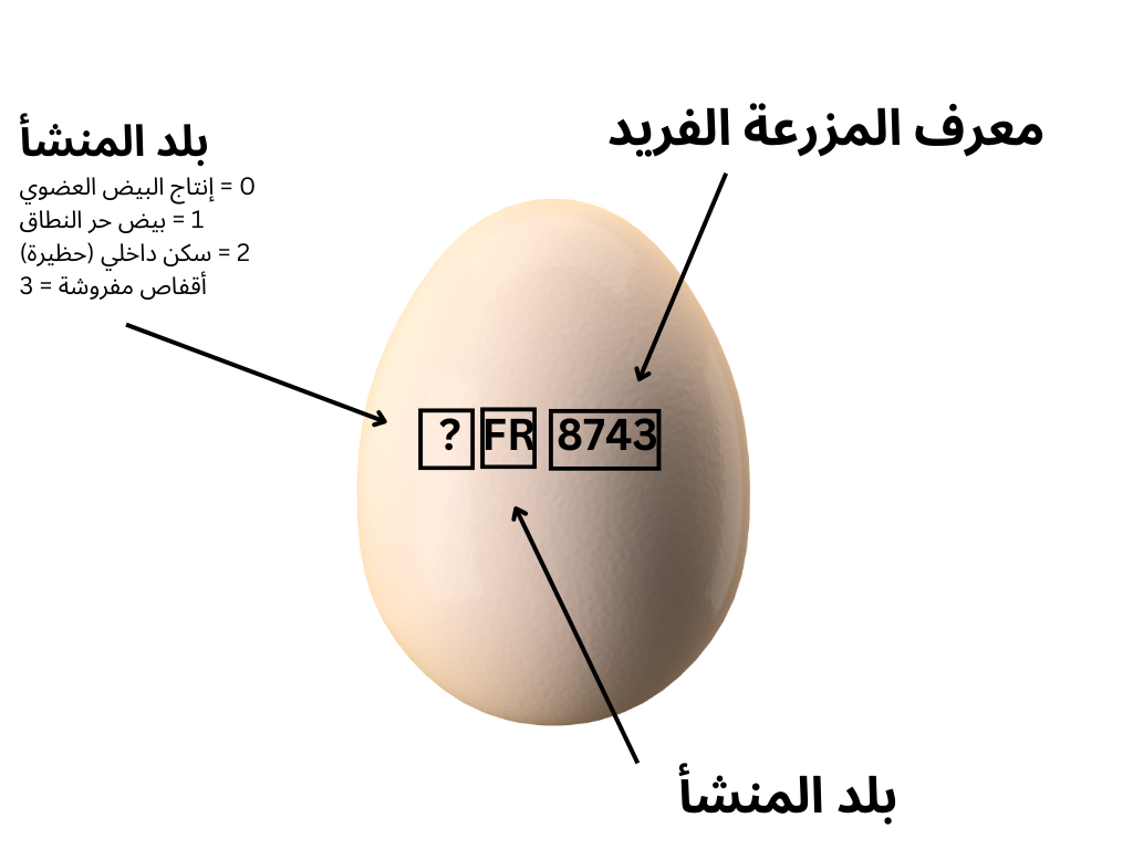 تصنيف وتمييز ووضع العلامات التجارية على البيض