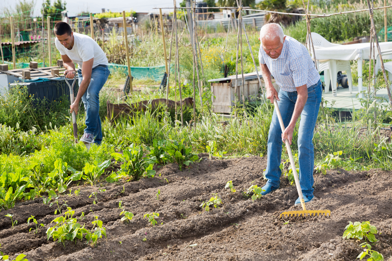 Agroturismo, una manera de reconectar con nuestras raíces