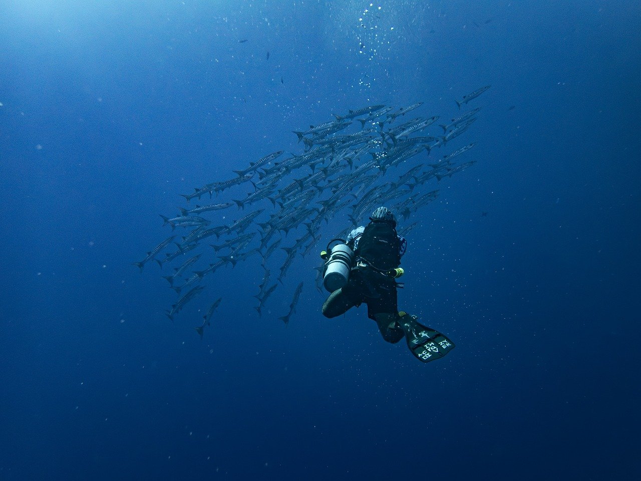 Aquaculture & Tourism – A New Partnership for Sustainable Development and Environmental Awareness