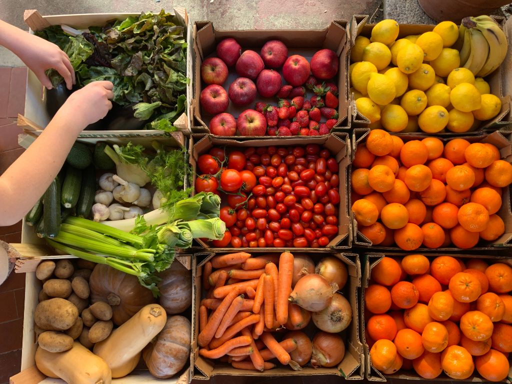 La dieta basada en plantas, una opción sostenible para la salud y el medioambiente