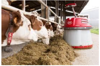 Automated-Feeding