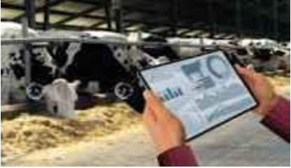 Precision-Livestock-farming