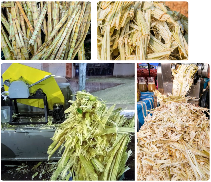 Qu'est-ce que la bagasse ? - Gestion des déchets de canne à sucre - Utilisations de la bagasse - Bagasse pour l'alimentation animale - Bagasse pour la production de bioéthanol