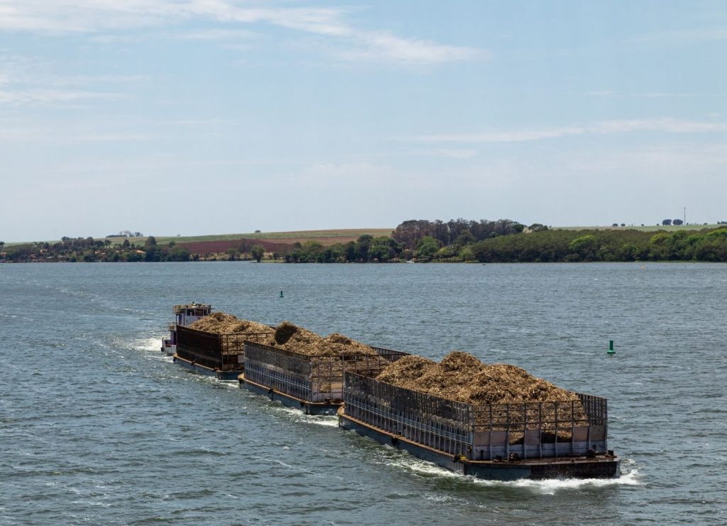 utilisation durable de la bagasse