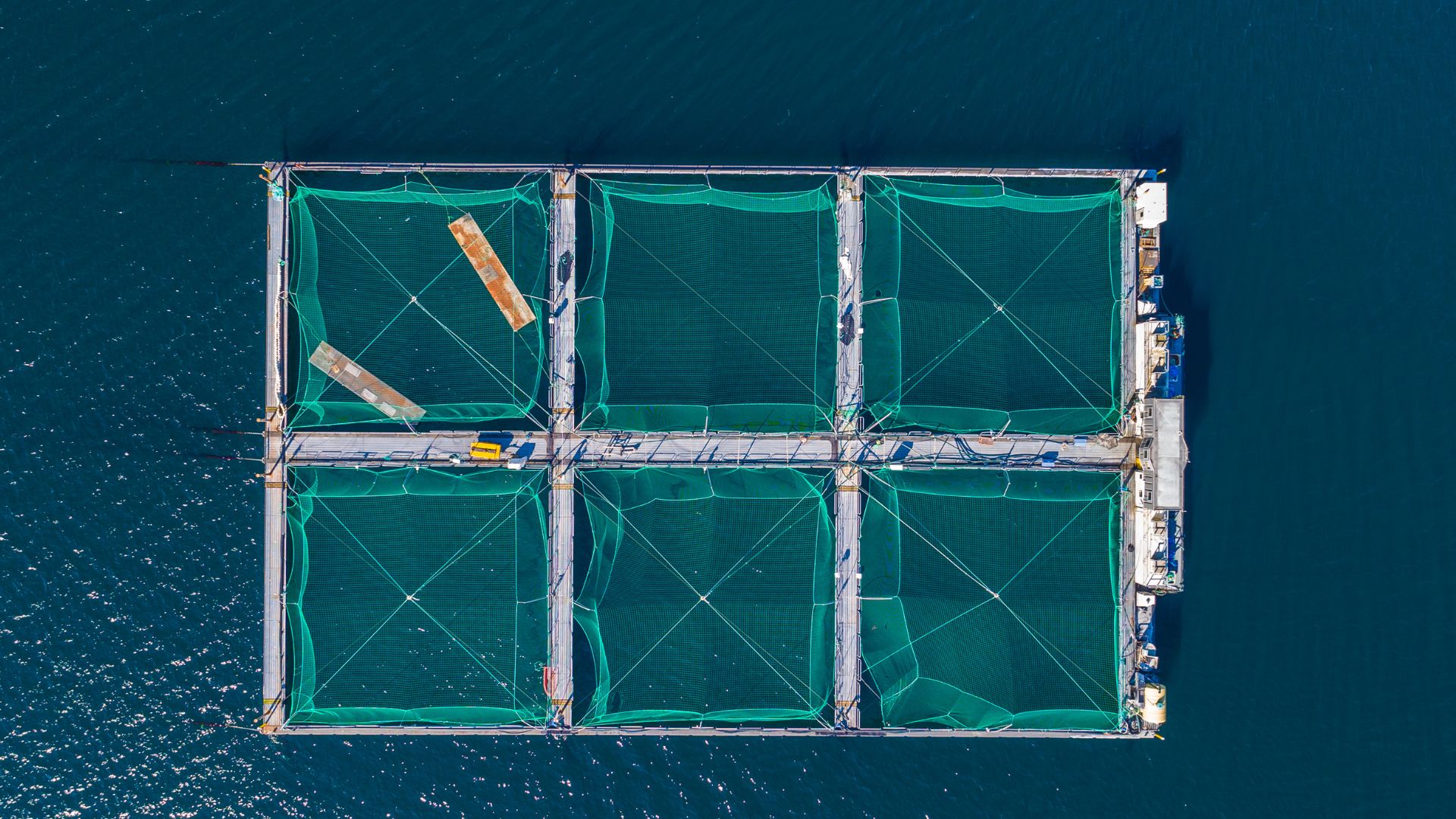 Salmon Farming: Does nutrition & transparency really matter?