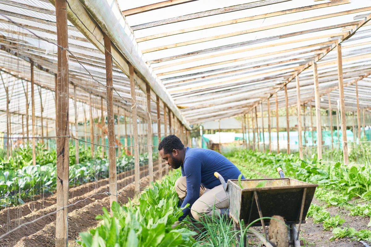A Human-Centered Approach to Regenerative Farming
