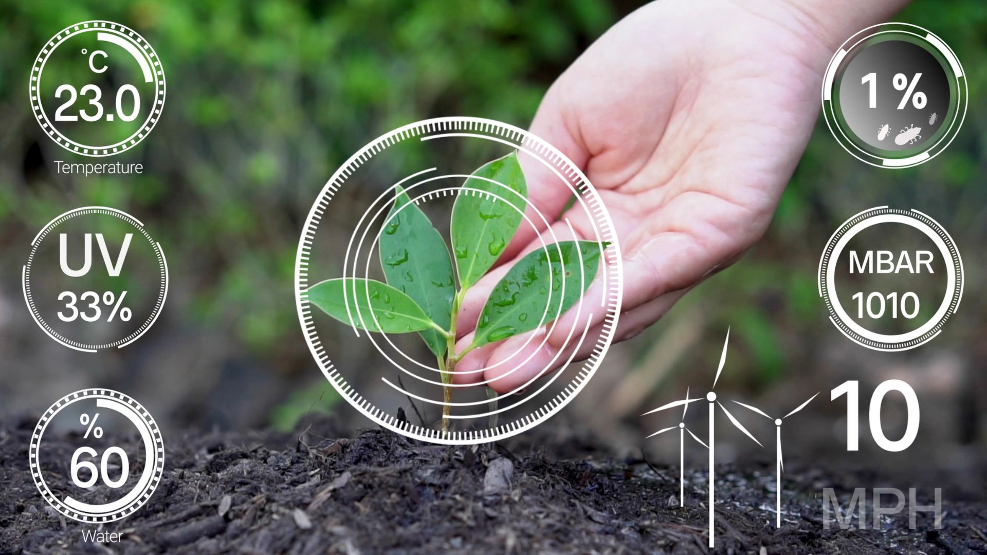 Agricultura Baseada em Dados: Uma Revolução Sustentável