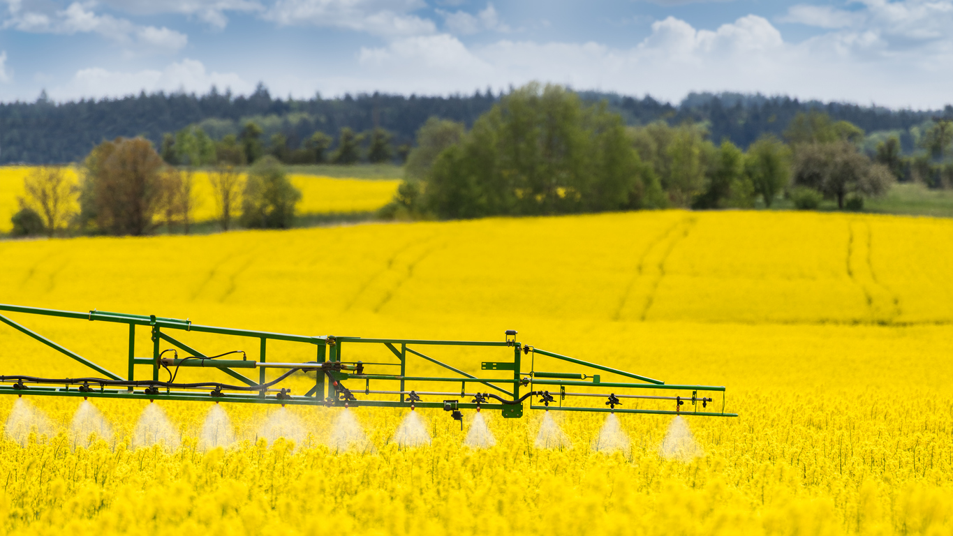 Canola Pest and Disease Management Canola Pest and Disease Management
