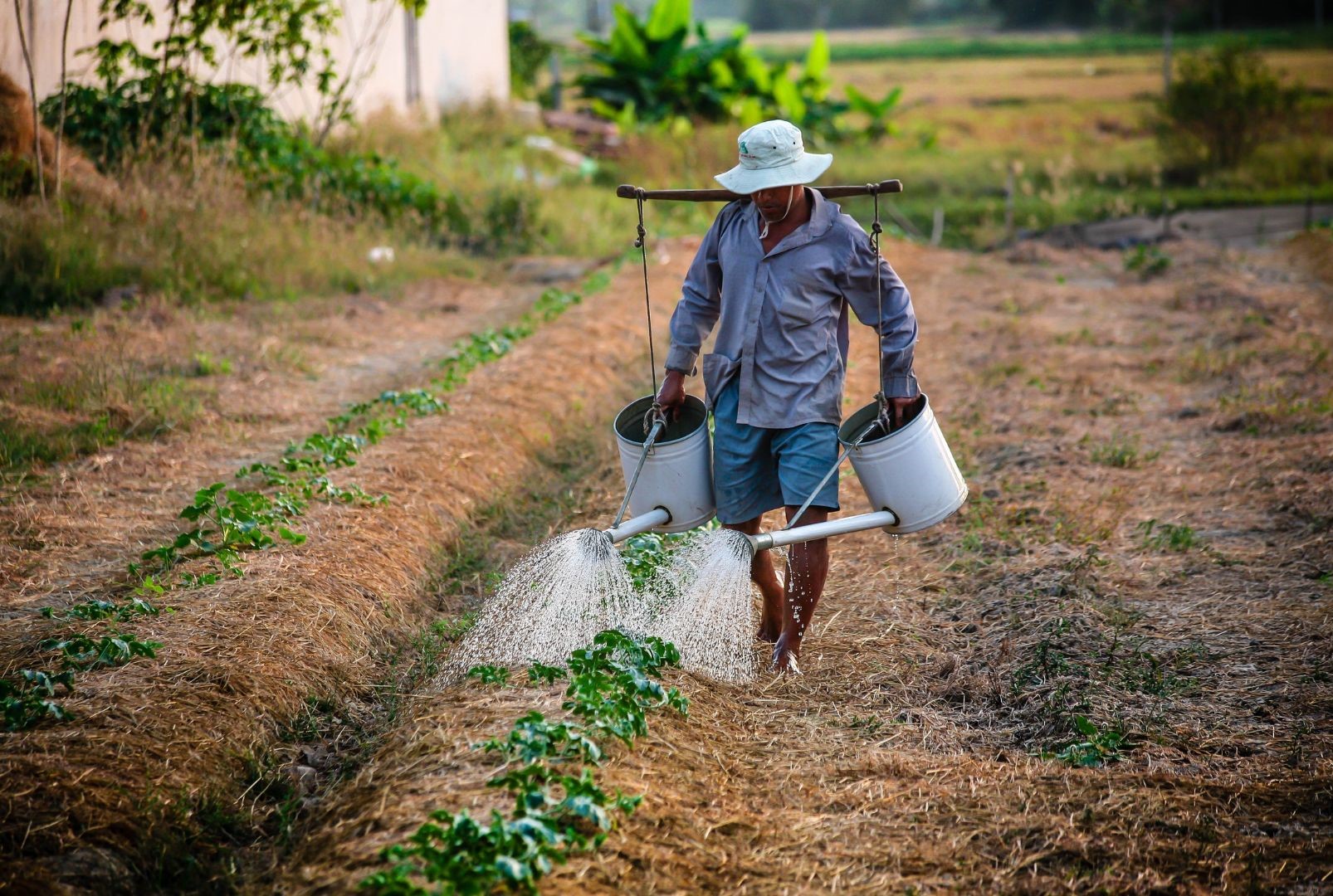 Conseils pour réussir dans l'agroalimentaire Conseils pour réussir dans l'agroalimentaire
