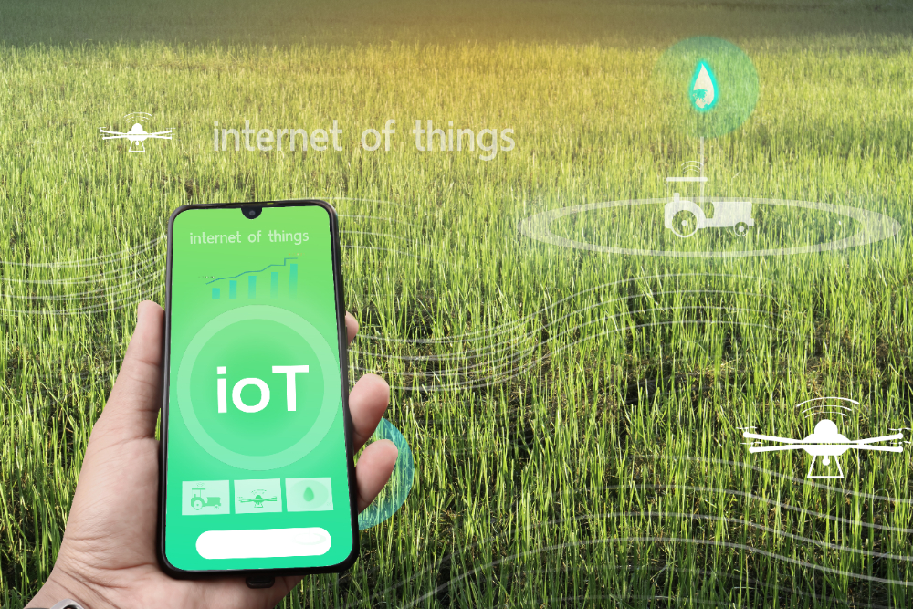 How IoT (Internet of Things) Devices Are Enhancing Farm Management and Food Safety