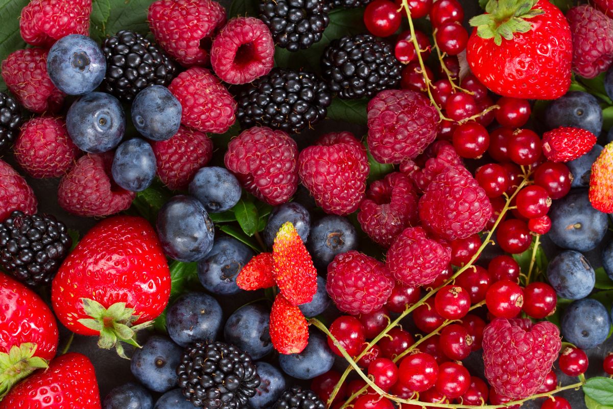 Types of berries-Superfoods Types of berries-Superfoods