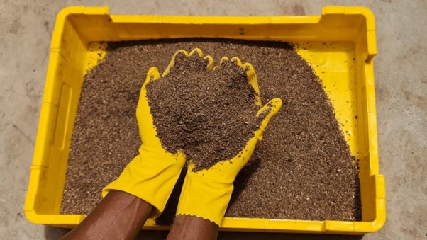 Insect Frass For Soil Health Insect Frass: A Sustainable Solution for Soil Health and Fertilization