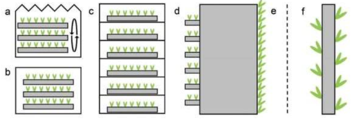 vertical-farm.png