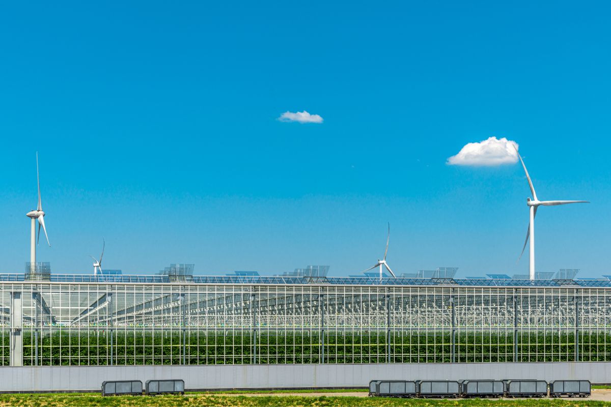 10 Proven Ways to Make Greenhouse Crop Production More Sustainable and Efficient