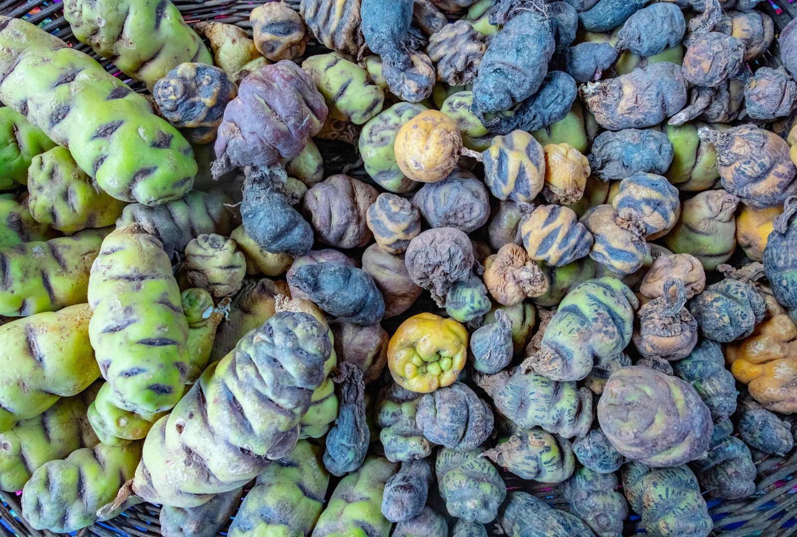 A Batata: Uma Jornada pelo tempo e pelas Culturas