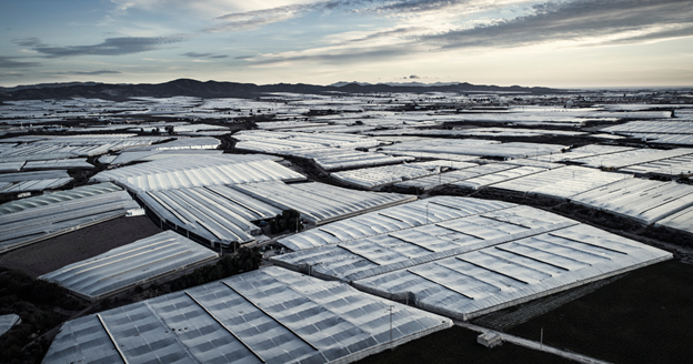 Controlled Environment Agriculture in the Mediterranean: A Sustainable Future