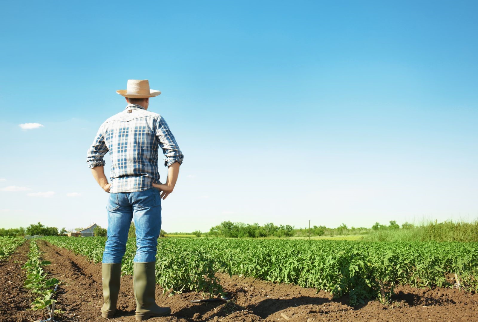 O que é agricultura biodinâmica? O que é agricultura biodinâmica?