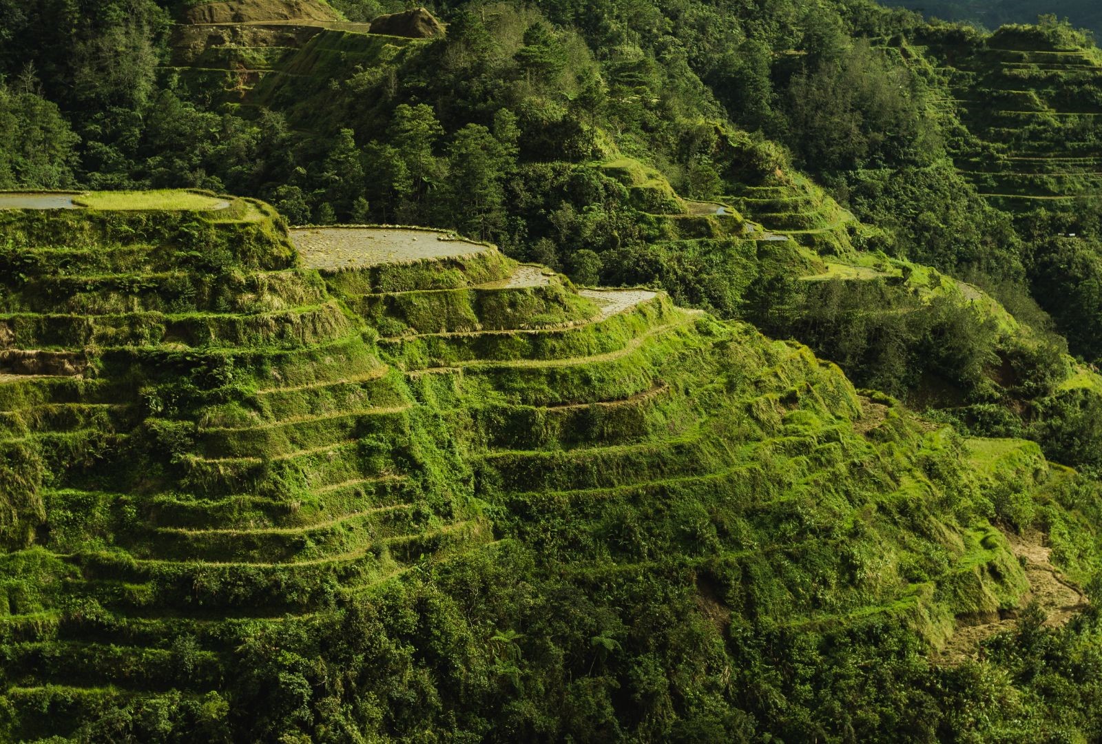 O que é agricultura em terraço? O que é agricultura em terraço?