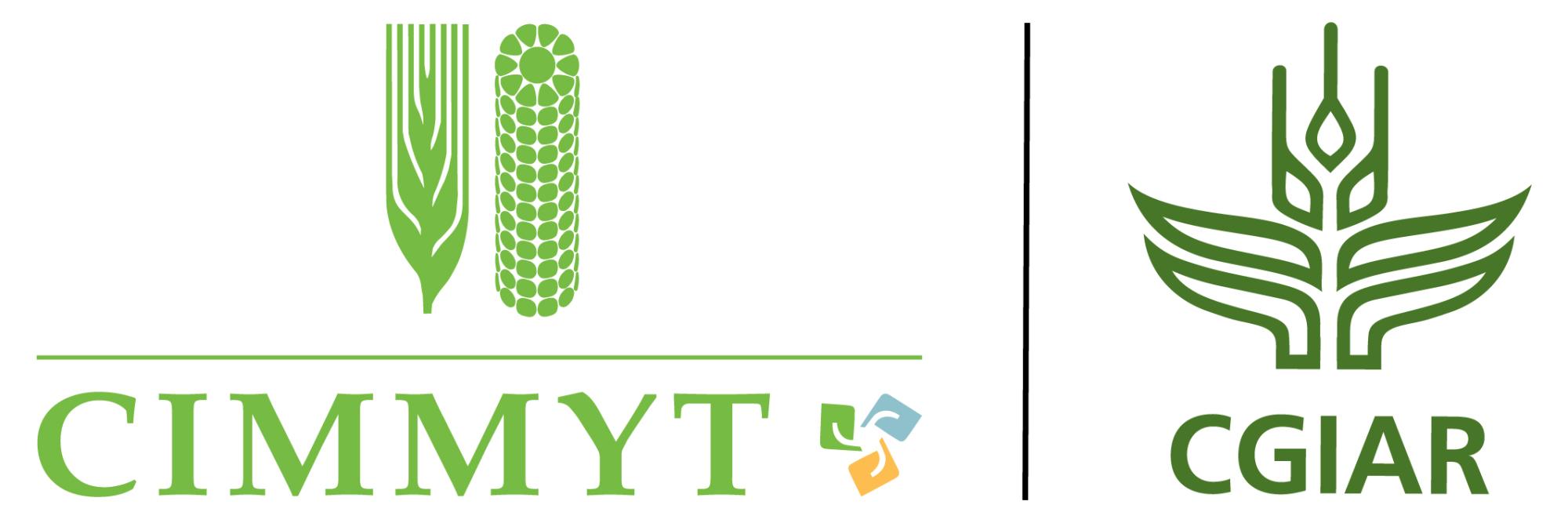 CIMMYT ( International Maize and Wheat Improvement Center)
