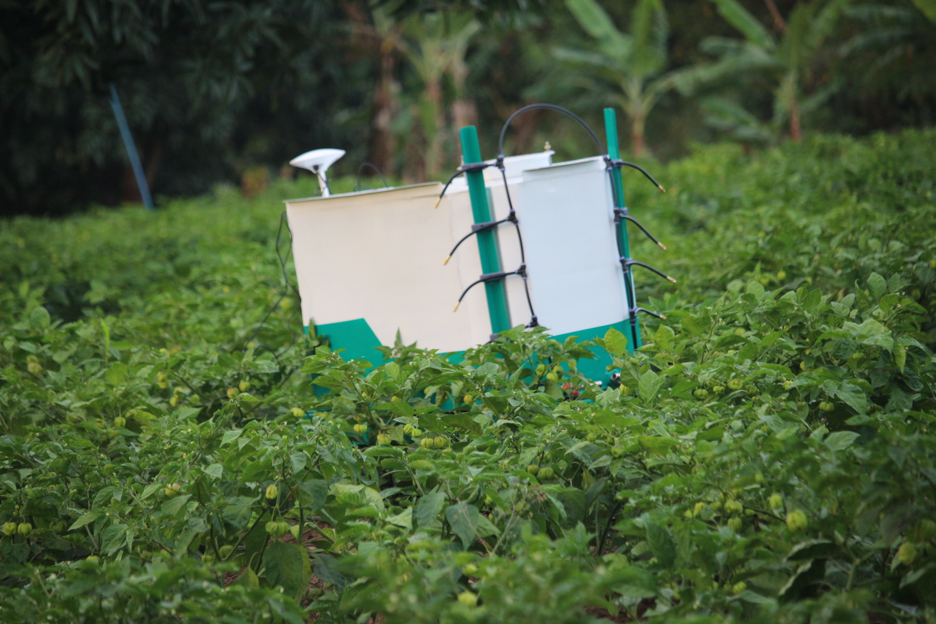 The Role of AI-Powered Robotics in Modern Farming: Enhancing Efficiency and Sustainability
