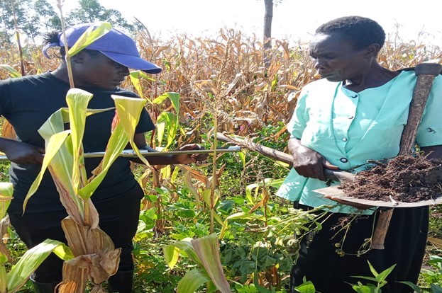 Regenerative Farming in Kenya: Transitioning from Monoculture to Sustainability Regenerative Farming in Kenya: Transitioning from Monoculture to Sustainability