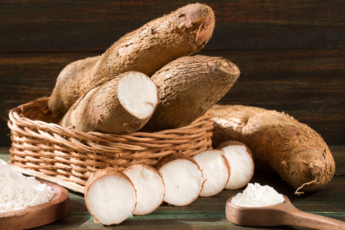 Unlocking Africa’s Potential Overcoming Challenges in Exporting Dried Cassava Chips to China Unlocking Africa’s Potential: Overcoming Challenges in Exporting Dried Cassava Chips to China