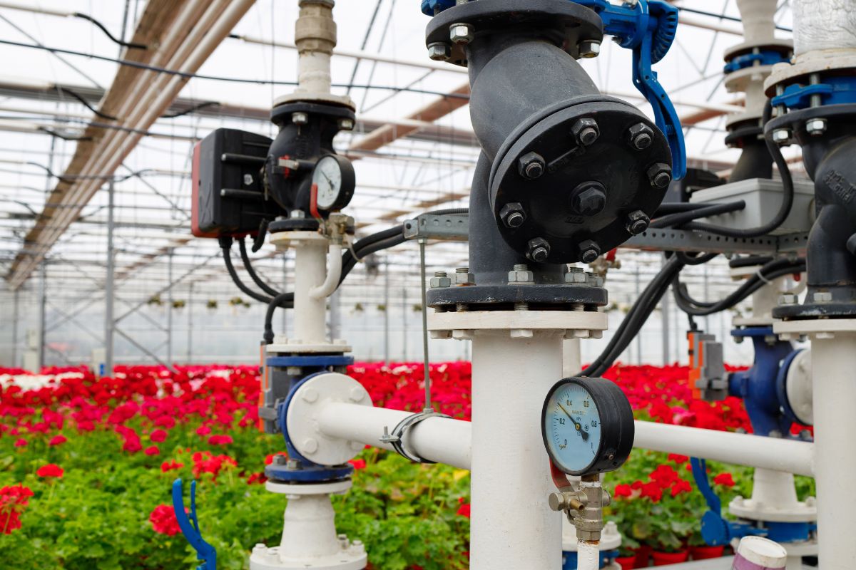 Maximizing Greenhouse Efficiency Strategies to Reduce Heat Loss Maximizing Greenhouse Efficiency: Strategies to Reduce Heat Loss