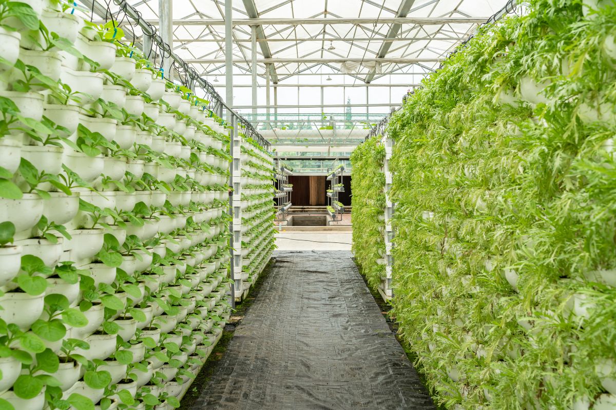 The Global Future of Vertical Farming (2025–2035): A Scenario Analysis Across Continents