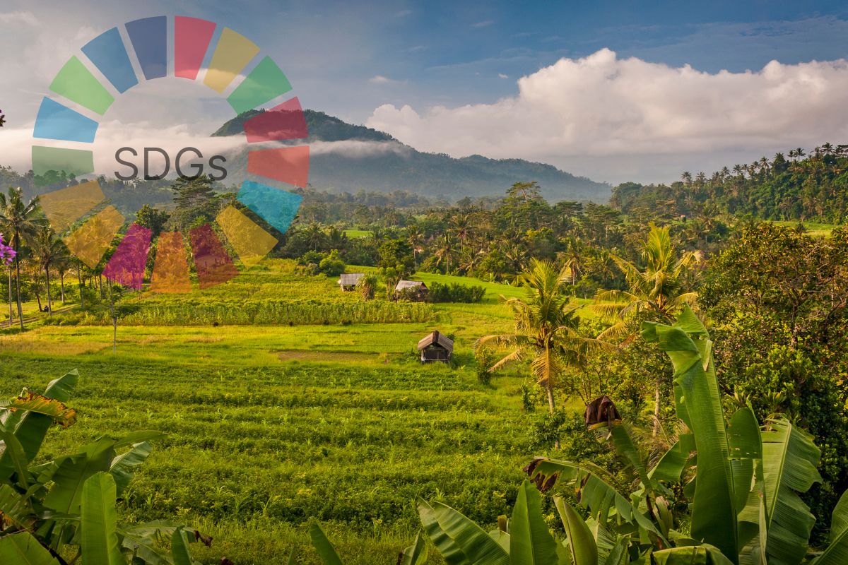 Indonesia’s Progress on Sustainable Development Goals Achievements, Challenges & Future Steps Indonesia’s Progress on Sustainable Development Goals (SDGs): Achievements, Challenges & Future Steps