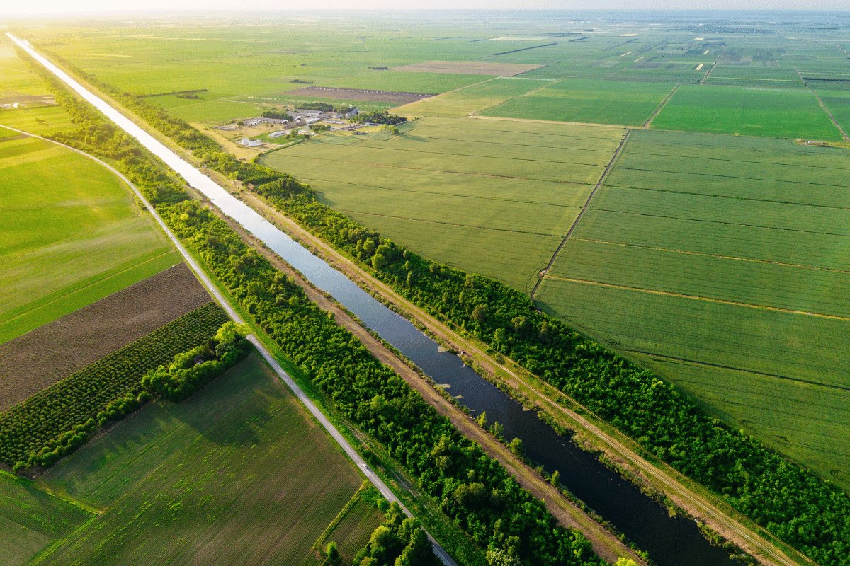 Institutions and Economic Growth: How Agriculture Shaped the Modern State