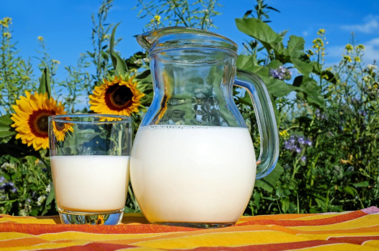 The Evolution and Cultural Significance of Milk Consumption