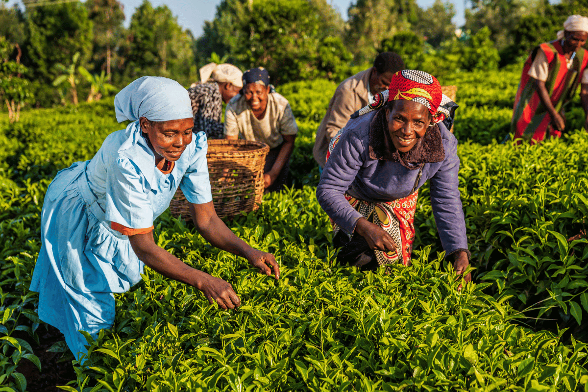 The Plow and Power: An Agricultural Origin of Gender Inequality