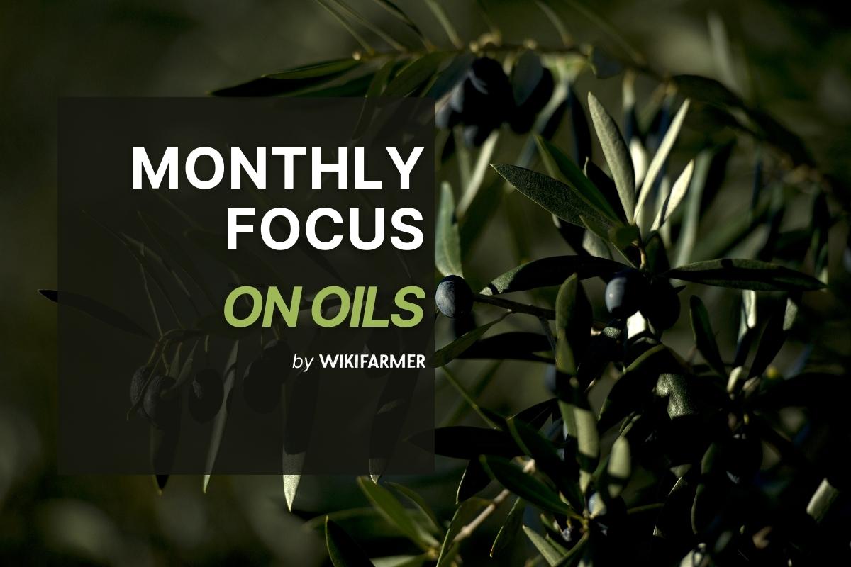 Focus on Oils: April 2025