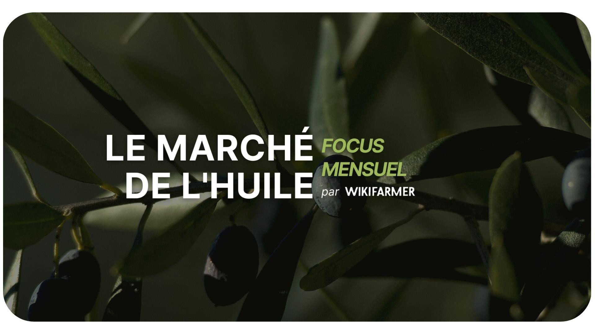 Focus mensuel sur le marché de l'huile: Janvier 2025