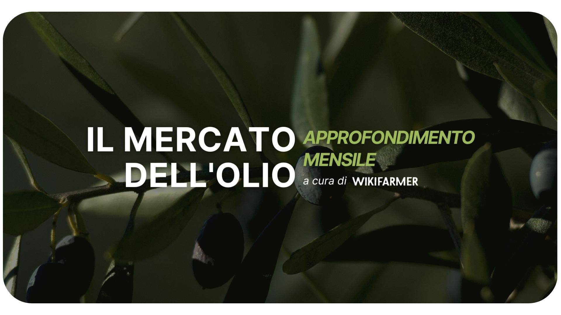 Approfondimento mensile sul mercato dell'olio : Ottobre 2024