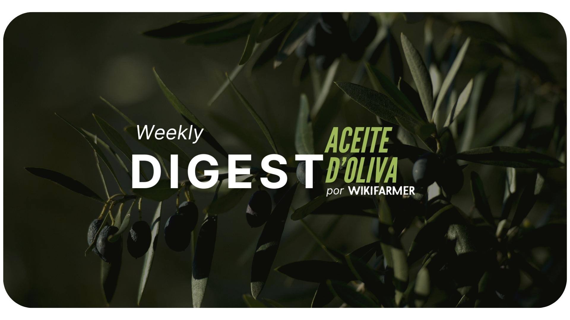 Mercado del Aceite de Oliva w40/2024