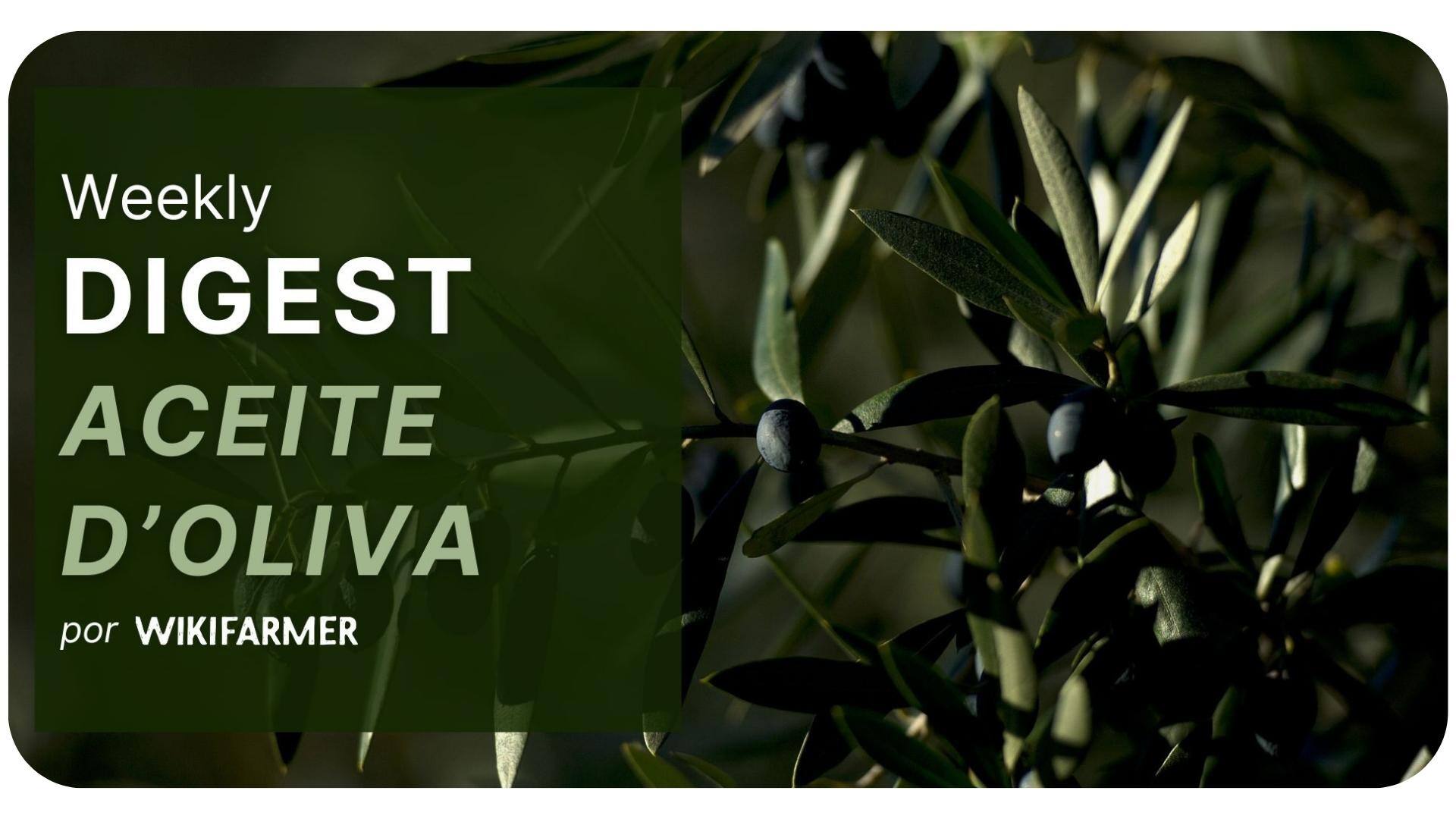 Mercado del Aceite de Oliva w8/2025