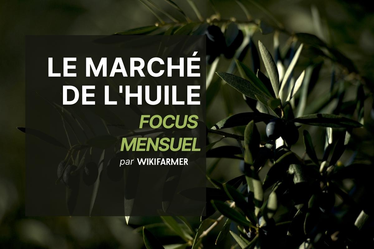 Focus mensuel sur le marché de l'huile :  Avril 2025