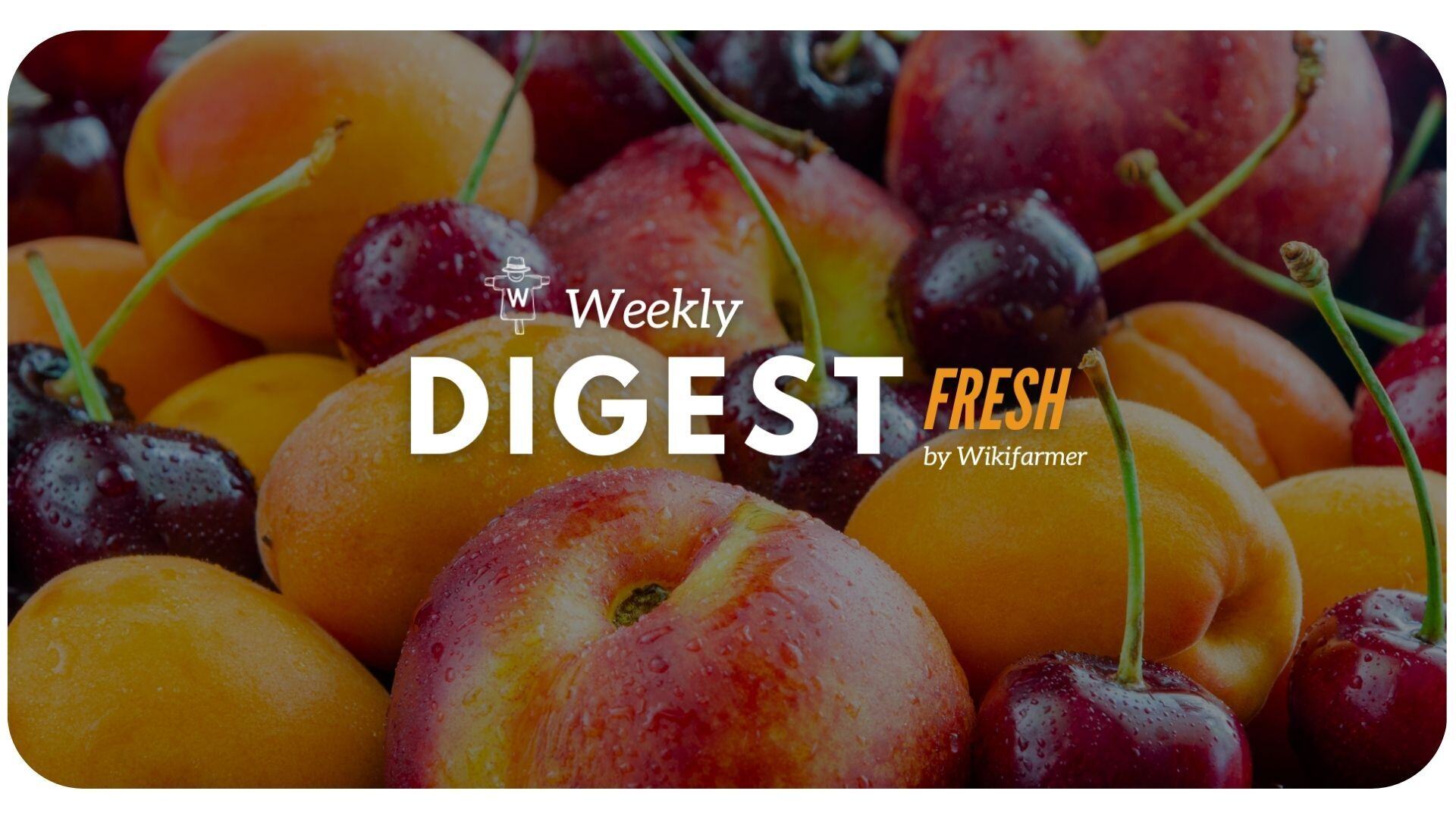 Stone Fruits Market Digest w28/2024