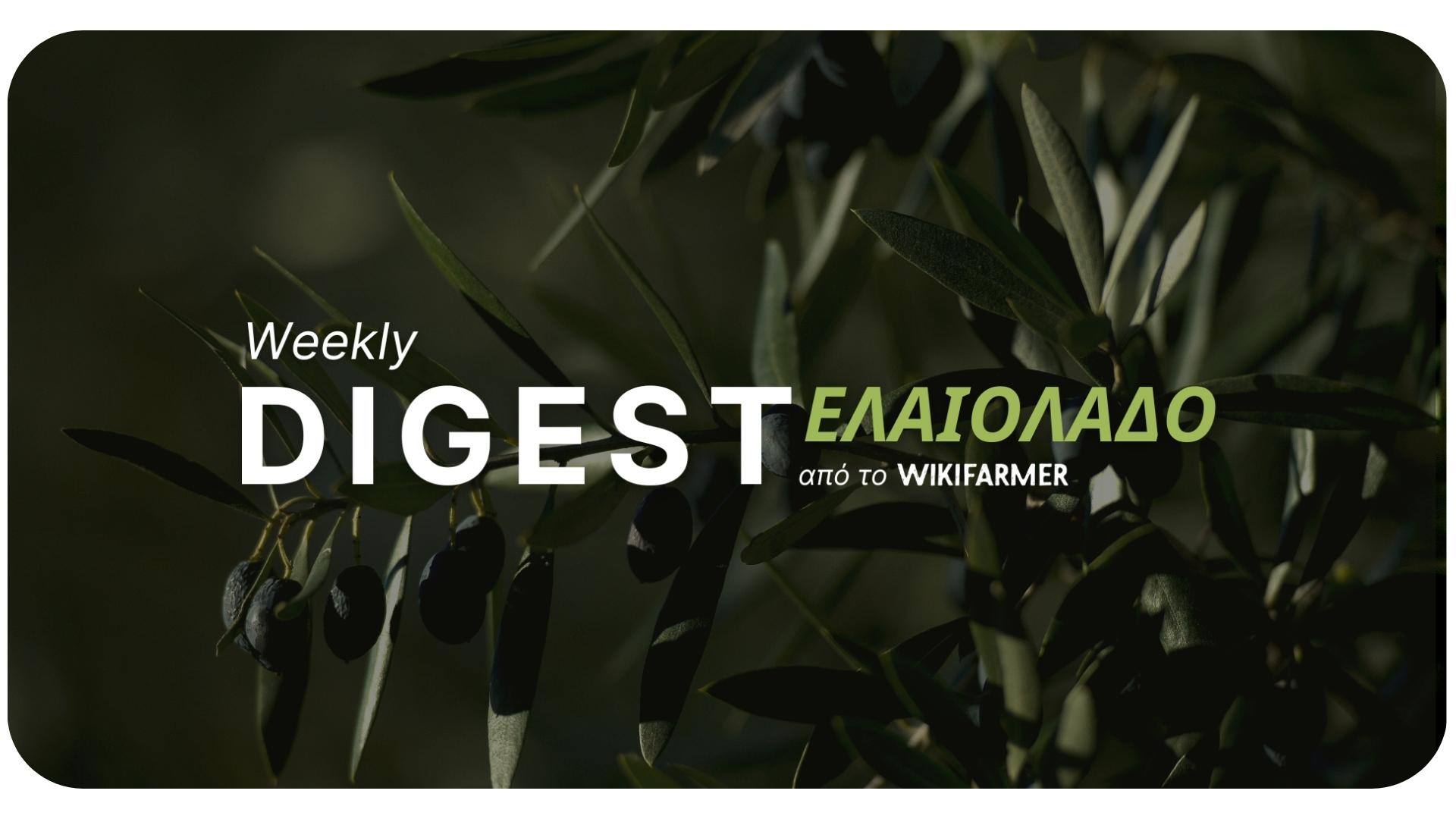 Η Αγορά του Ελαιολάδου w44/2024