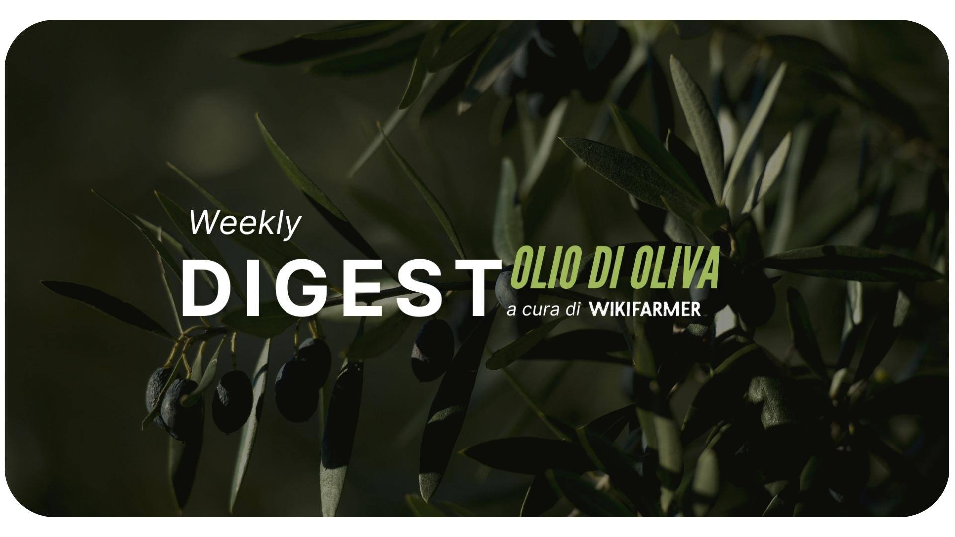 Il Mercato dell' Olio d' Oliva w48