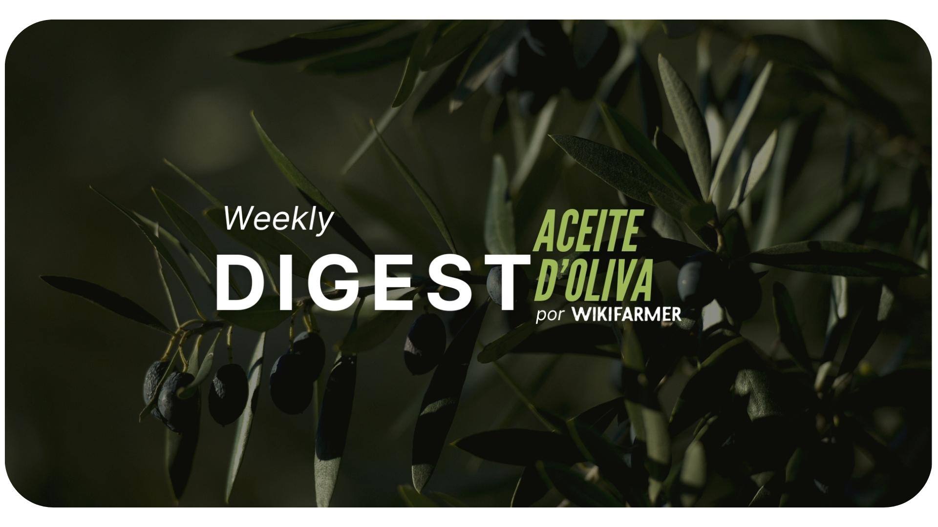 Mercado del Aceite de Oliva w44/2024